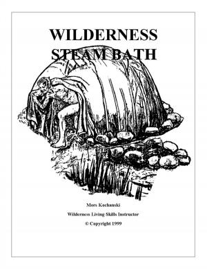 Cover of the book Wilderness Steam Bath by Mark Ferdinand