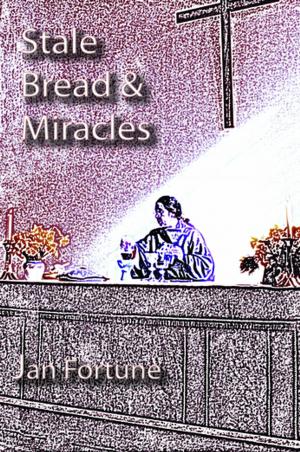 Cover of the book Stale Bread & Miracles by Bobbie Darbyshire