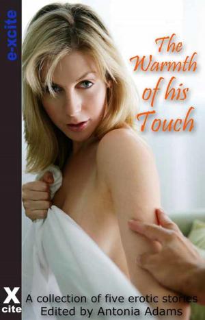 Cover of the book The Warmth of His Touch by Jeremy Edwards, Tsaurah Litzky, Shanna Germain