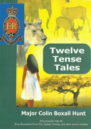 Cover of the book Twelve Tense Tales: Warty Book 2 by John Karter