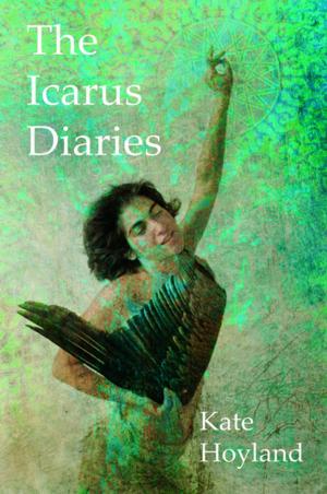 Cover of the book The Icarus Diaries by Adam Craig