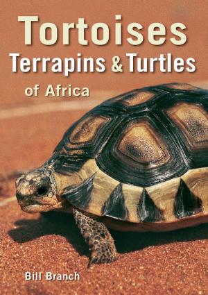 Cover of the book Tortoises, Terrapins & Turtles of Africa by James Stevenson-Hamilton