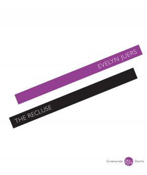 Book cover of The Recluse