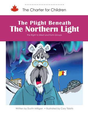 Cover of the book The Plight Beneath the Northern Light by Scott Meehan