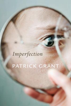 Cover of the book Imperfection by David Kahane