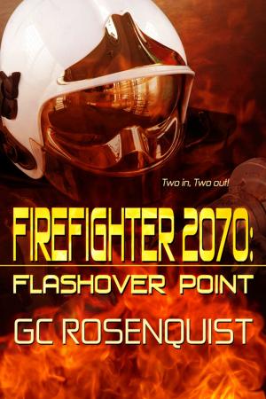Book cover of Firefighter 2070: Flashover Point