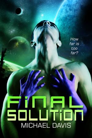 bigCover of the book Final Solution by 
