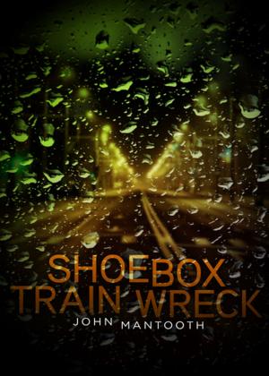 Cover of the book Shoebox Train Wreck by David Nickle