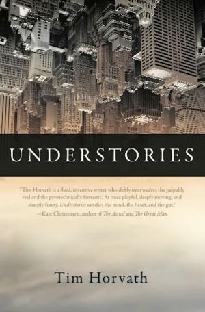 Cover of the book Understories by Magdaléna Platzová