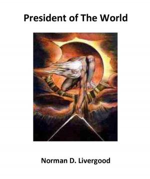 Cover of the book President of the World by J.N. PAQUET