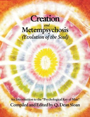 Cover of the book Creation & Metempsychosis by Mary Kay Stenger