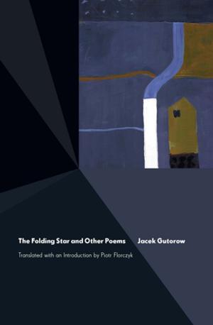 Cover of the book The Folding Star by 