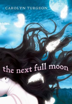 Cover of the book The Next Full Moon by Catherine Winters