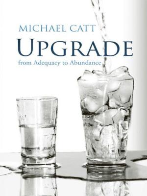 Cover of the book Upgrade by Bertil Wiklander