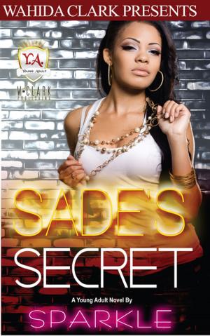 Cover of the book Sade's Secret by Rashawn Hughes