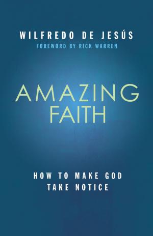 Cover of the book Amazing Faith by Kerry Clarensau, Janelle Hail, JoAnn Butrin