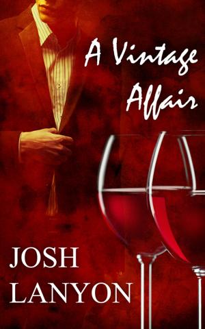 Cover of the book A Vintage Affair by Josh Lanyon