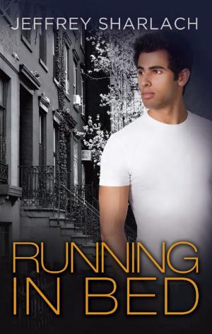 Cover of the book Running in Bed by Timothy E. Heron, Ed.D., CFII