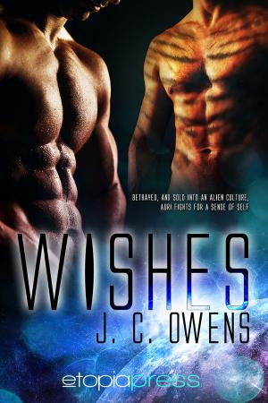 Cover of the book Wishes by Sue Lyndon