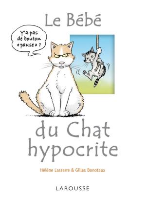 Cover of the book Le bébé du chat hypocrite by Jules César