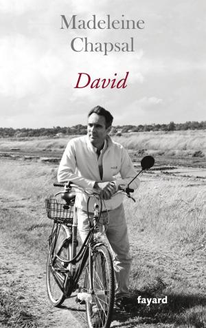 Cover of the book David by François de Closets
