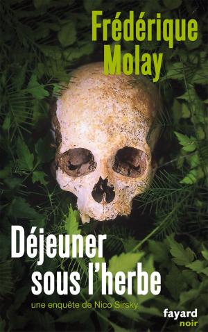Cover of the book Déjeuner sous l'herbe by Romain Slocombe