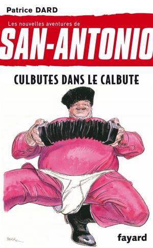 Cover of the book Culbutes dans le calbute by Jacques Attali