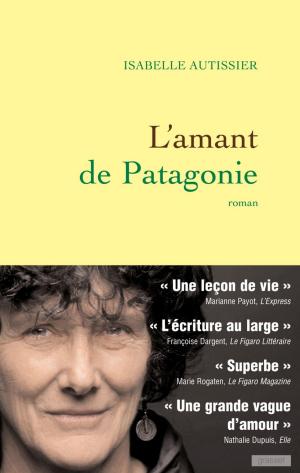 Cover of the book L'amant de Patagonie by François Jullien