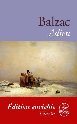 Cover of the book Adieu ! by Tatiana de Rosnay