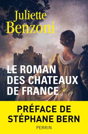 Cover of the book Le roman des châteaux de France - Tome 1 by Bernard SIMONAY