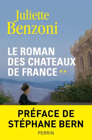 Cover of the book Le roman des châteaux de France - Tome 2 by Frédéric SALAT-BAROUX