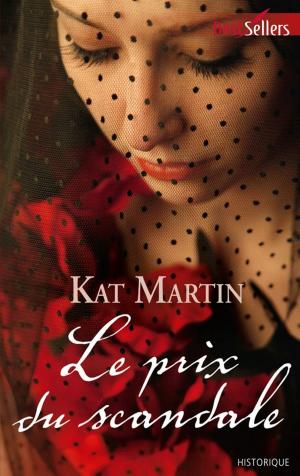 Cover of the book Le prix du scandale by Kathleen O'Brien