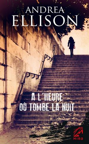 Cover of the book A l'heure où tombe la nuit by Dana Mentink