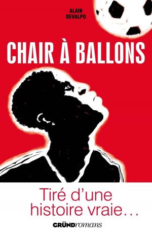 Cover of the book Chair à ballons by Sylvie BRUNET