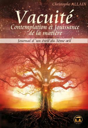 Cover of Vacuité, contemplation et jouissance de la matière