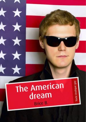Cover of the book The American dream (érotique gay) by Aurore Kopec