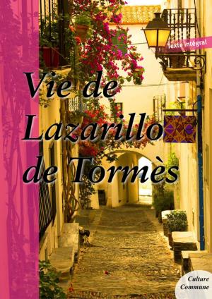 Cover of the book Vie de Lazarillo de Tormès by Victor Hugo