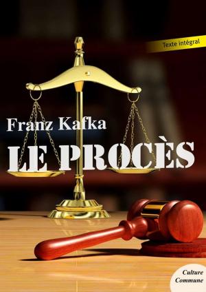 Cover of the book Le Procès by Vidocq