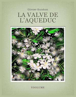 Cover of La valve de l'acqueduc