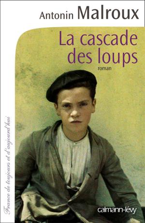 Book cover of La Cascade des loups