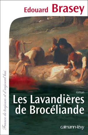 Cover of the book Les Lavandières de Brocéliande by Jack Lang