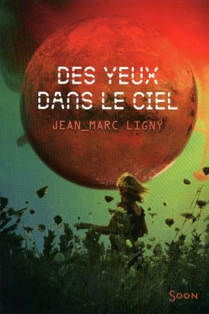 Cover of the book Des yeux dans le ciel by Annie Godrie