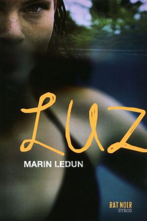 Cover of the book Luz by Sébastien Gendron