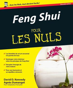 Cover of the book Feng Shui Pour les Nuls by Frédéric BERQUÉ