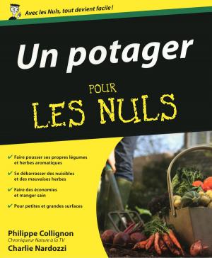 Cover of the book Un Potager Pour les Nuls by Philippe GODARD, Alexandre MESSAGER
