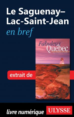 Cover of the book Le Saguenay–Lac-Saint-Jean en bref by Jean-François Vinet