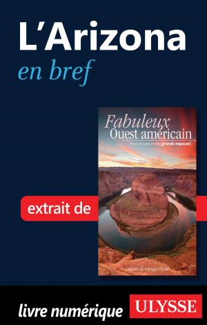 Cover of the book L’Arizona en bref by Julie Brodeur