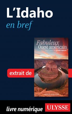 bigCover of the book L’Idaho en bref by 