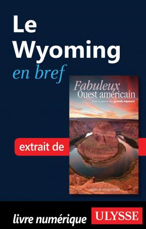 Cover of the book Le Wyoming en bref by Benoit Prieur, Annie Gilbert