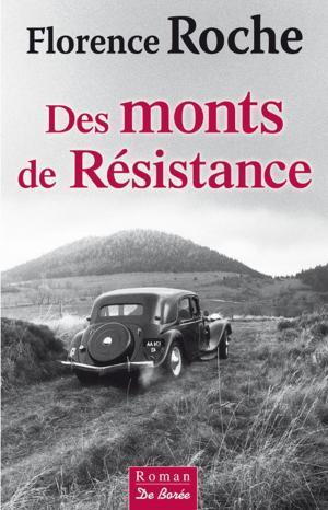 Cover of the book Des monts de Résistance by Alain Delage